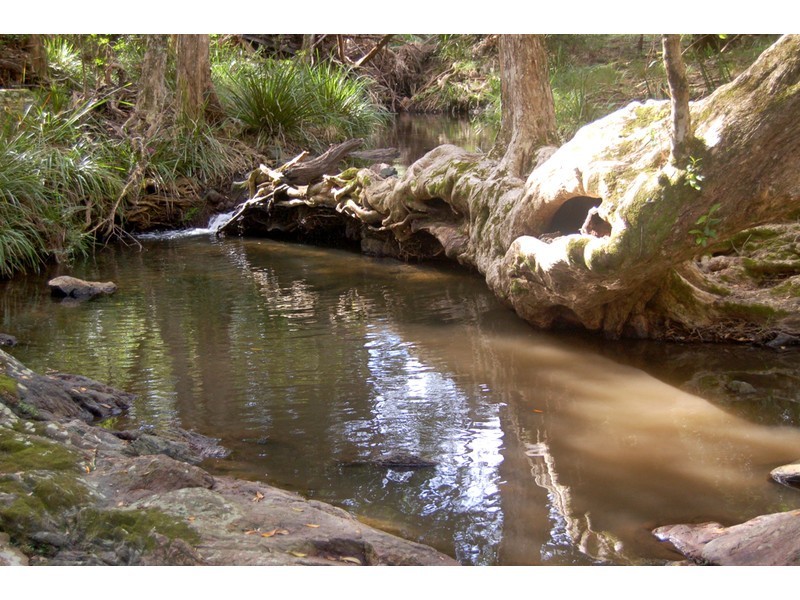 Mount Seaview NSW 2446