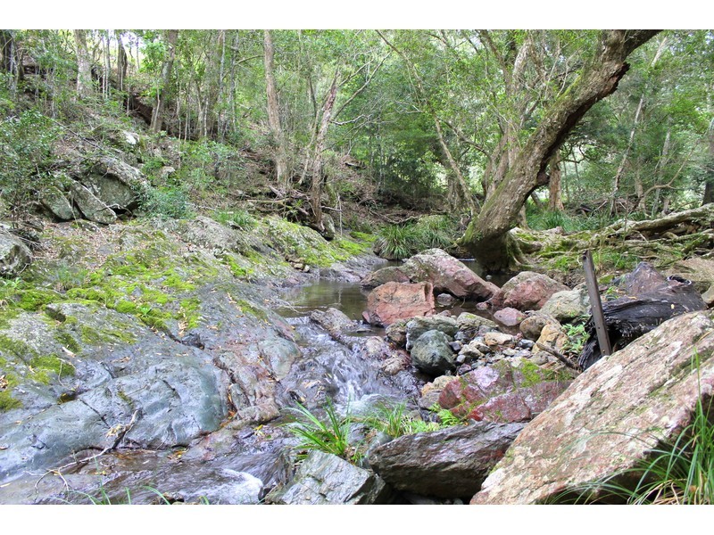 Mount Seaview NSW 2446