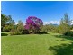 22 West Frazers Creek Road, Beechwood NSW 2446