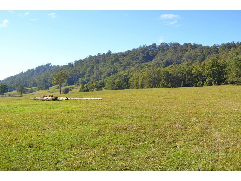 268 Gum Scrub Road, Gum Scrub NSW 2441