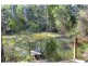 442 Bellangry Road, Mortons Creek NSW 2446