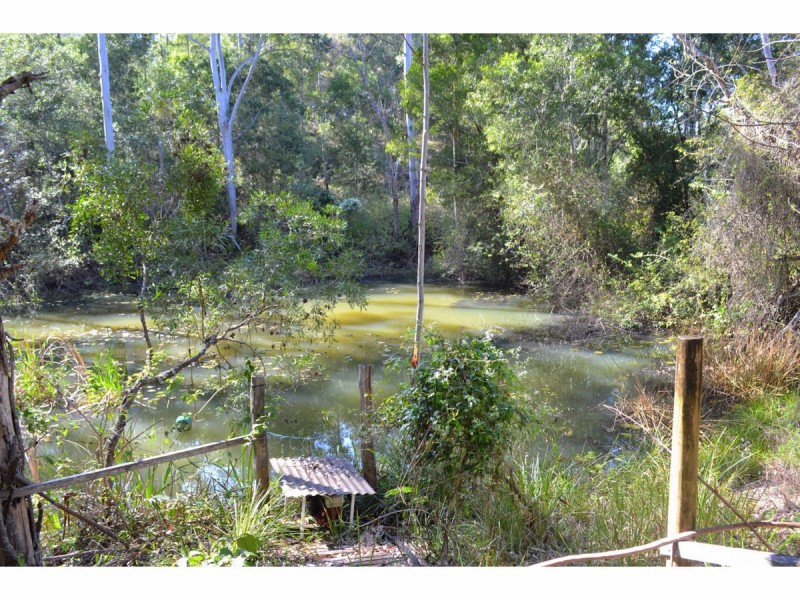 442 Bellangry Road, Mortons Creek NSW 2446