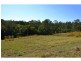442 Bellangry Road, Mortons Creek NSW 2446