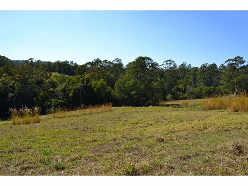 442 Bellangry Road, Mortons Creek NSW 2446