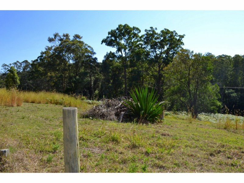 442 Bellangry Road, Mortons Creek NSW 2446