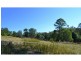 442 Bellangry Road, Mortons Creek NSW 2446