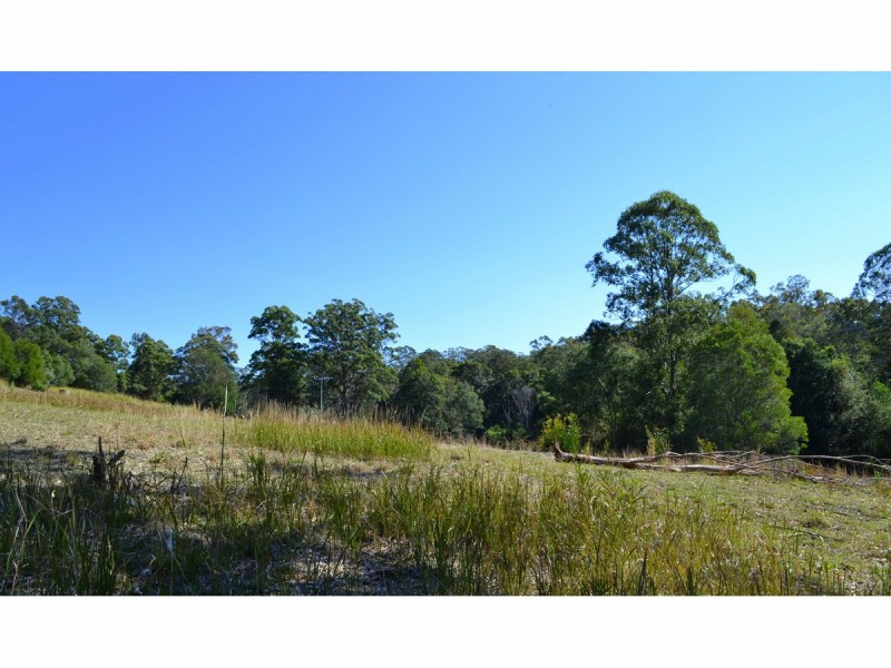 442 Bellangry Road, Mortons Creek NSW 2446