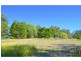 442 Bellangry Road, Mortons Creek NSW 2446