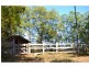 442 Bellangry Road, Mortons Creek NSW 2446
