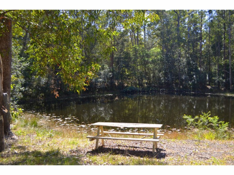 628 Clarefield Dungay Creek Road, Upper Rollands Plains NSW 2441
