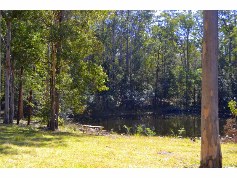 628 Clarefield Dungay Creek Road, Upper Rollands Plains NSW 2441