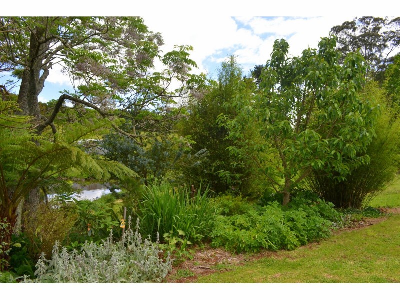 10 River Street, Comboyne NSW 2429