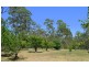 5739 Oxley Highway, Ellenborough NSW 2446