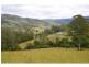428 Kindee Road, Kindee NSW 2446
