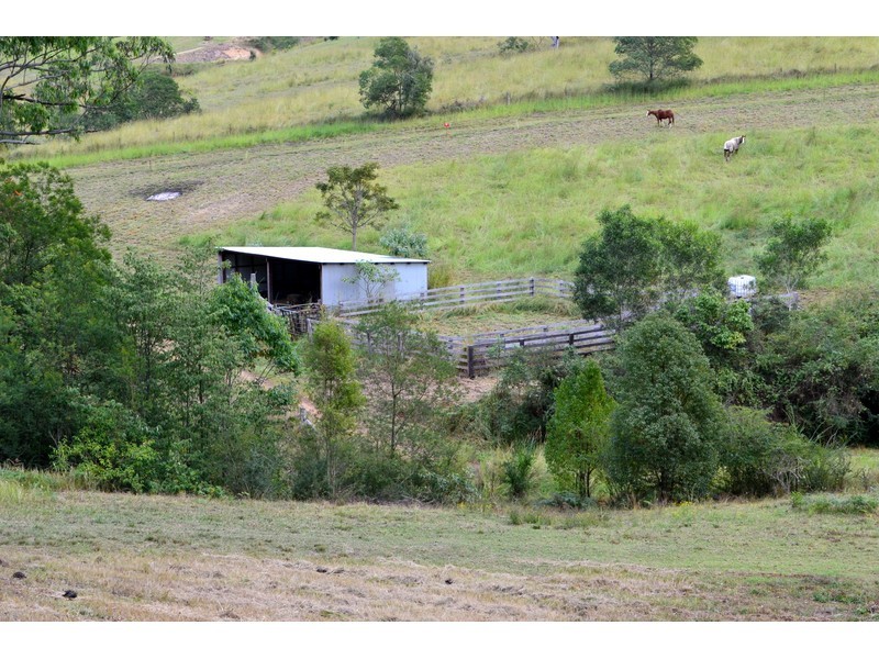 428 Kindee Road, Kindee NSW 2446