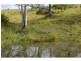 428 Kindee Road, Kindee NSW 2446
