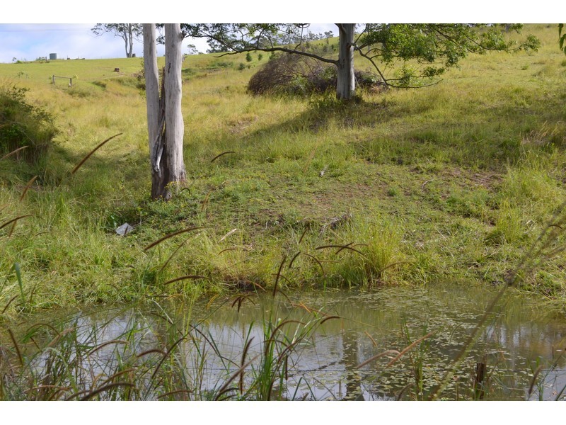 428 Kindee Road, Kindee NSW 2446