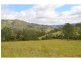 428 Kindee Road, Kindee NSW 2446