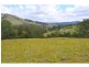 428 Kindee Road, Kindee NSW 2446