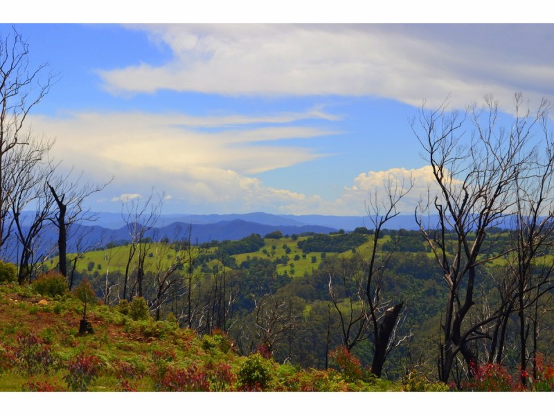 582 Colling Road, Comboyne NSW 2429