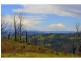 582 Colling Road, Comboyne NSW 2429