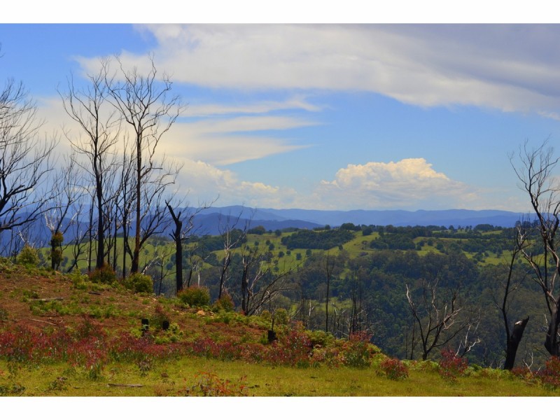 582 Colling Road, Comboyne NSW 2429