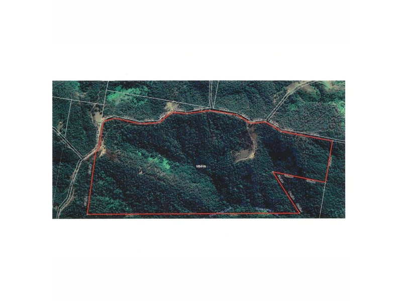 Bagnoo Road, Byabarra NSW 2446 Floorplan