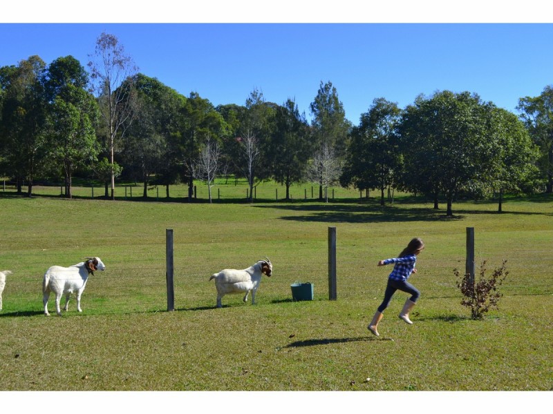 29 Bunderra Drive, Beechwood NSW 2446