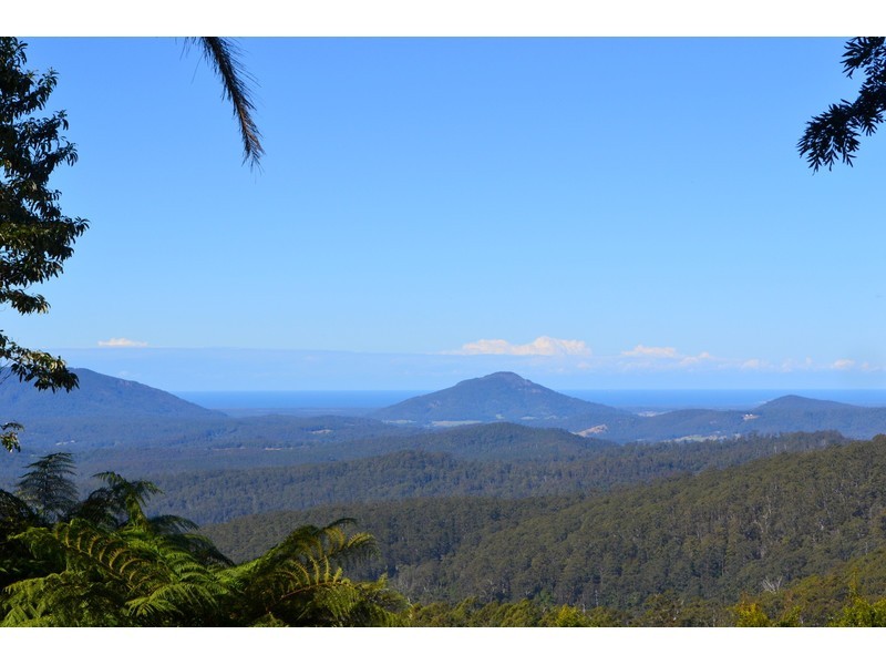 1534 Koppin Yarratt Road, Comboyne NSW 2429