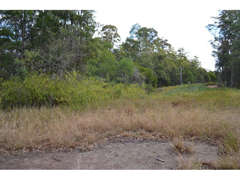 639 Bellangry Road, Mortons Creek NSW 2446