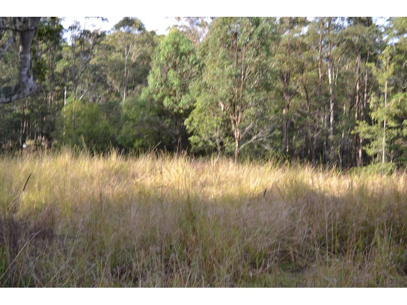 639 Bellangry Road, Mortons Creek NSW 2446