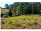 1075 Comboyne Road, Byabarra NSW 2446