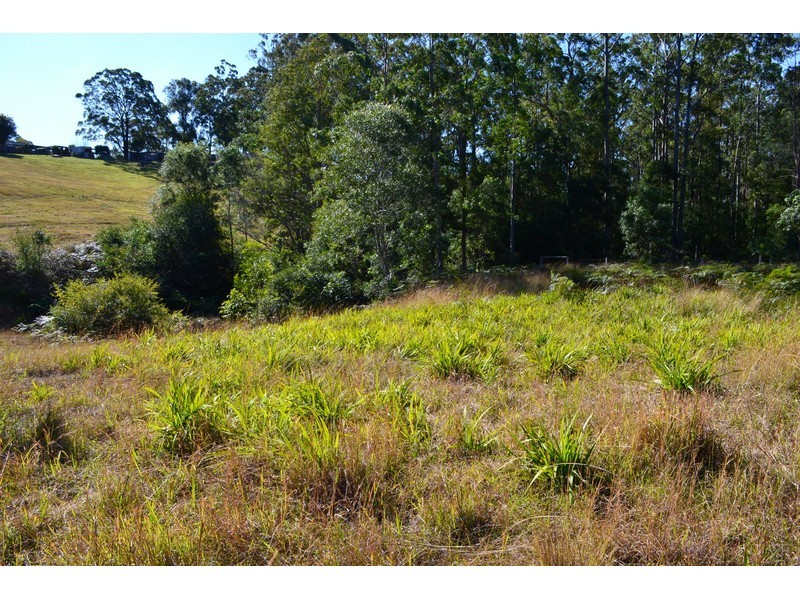 1075 Comboyne Road, Byabarra NSW 2446