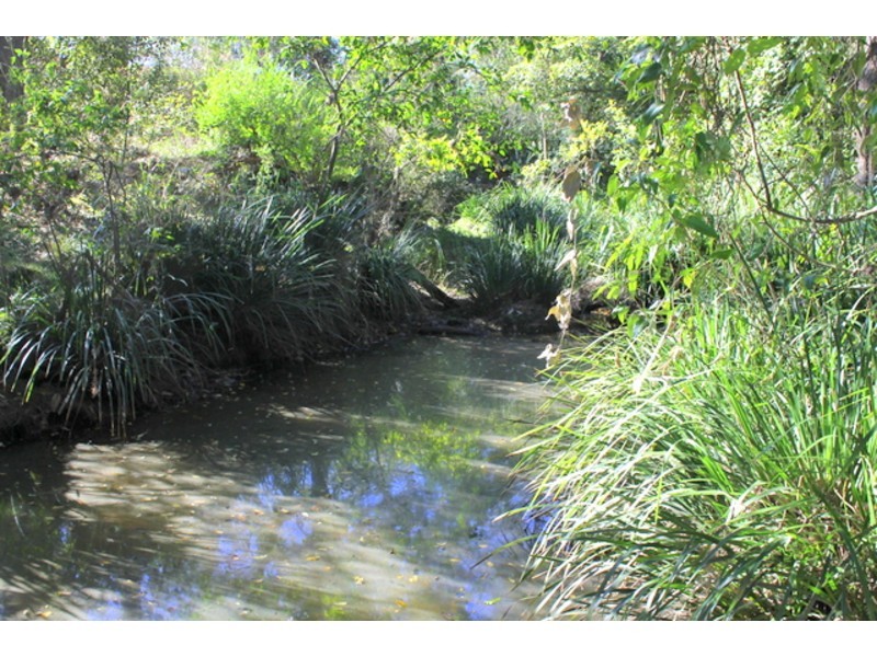 Lot 12 Beechwood Meadows, Beechwood NSW 2446