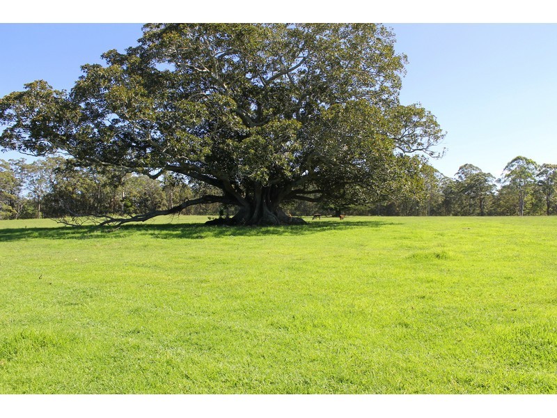 190 Hewens Road, Beechwood NSW 2446