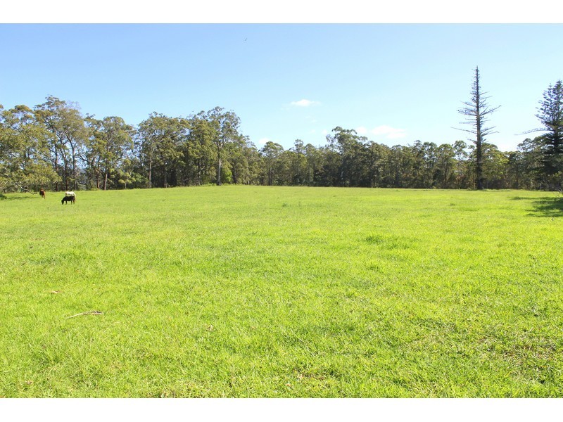 190 Hewens Road, Beechwood NSW 2446