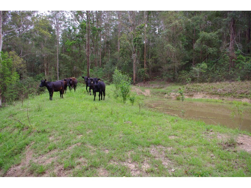 5 Jones Road, Byabarra NSW 2446