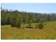 1176 Bellangry Road, Bellangry NSW 2446