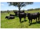 Rollands Plains NSW 2441
