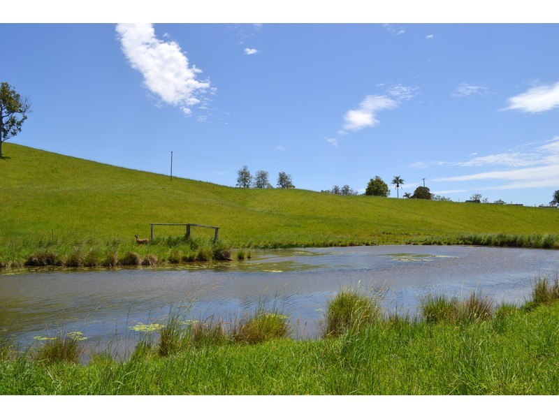 Rollands Plains NSW 2441