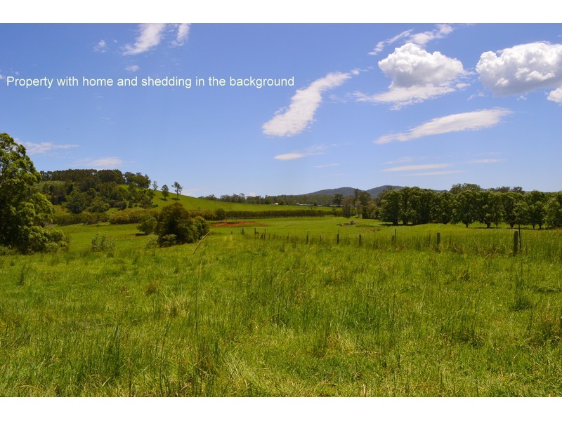 Rollands Plains NSW 2441
