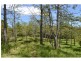 Rollands Plains NSW 2441