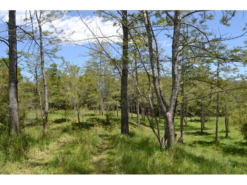 Rollands Plains NSW 2441