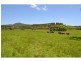 Rollands Plains NSW 2441
