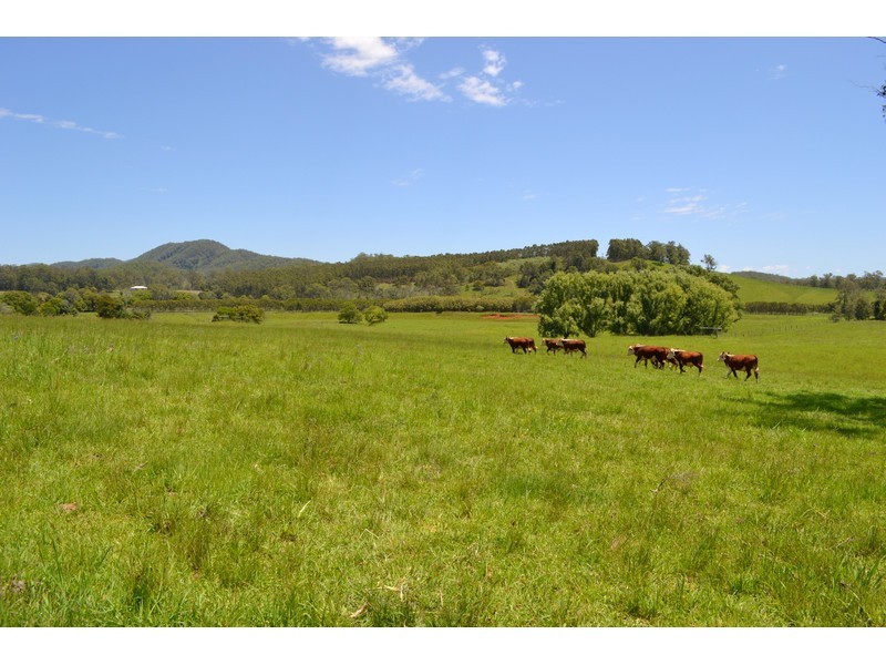 Rollands Plains NSW 2441