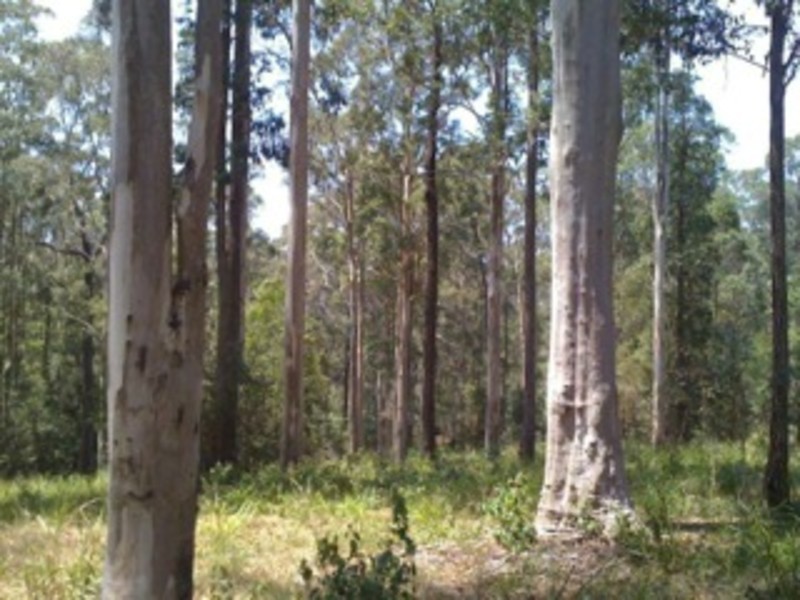 Lot 18,  Tall Timber Road, Lake Innes NSW 2446