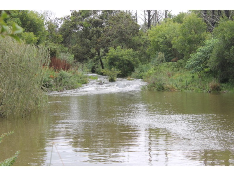 4 River Street, Comboyne NSW 2429