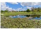 19 Eric Drive, King Creek NSW 2446