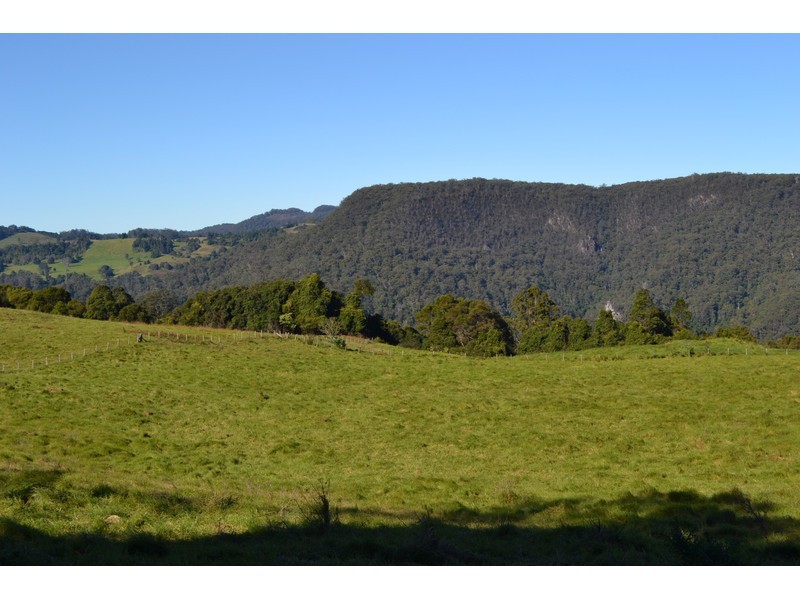 8 Pfeiffers Road, Comboyne NSW 2429