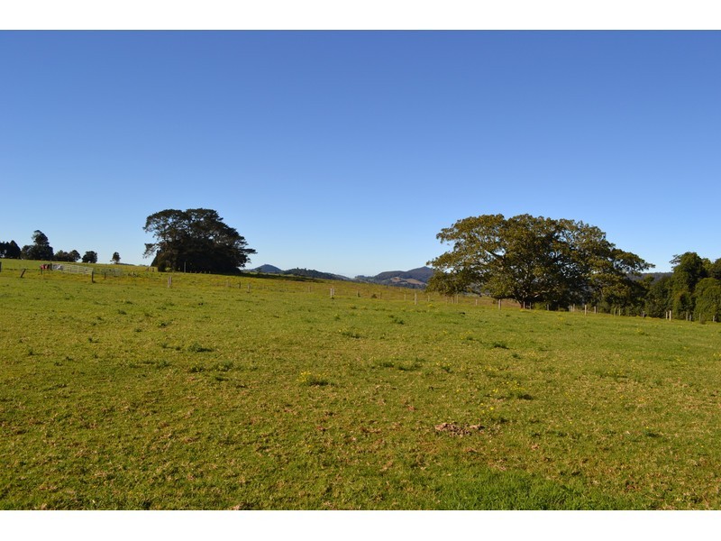 8 Pfeiffers Road, Comboyne NSW 2429